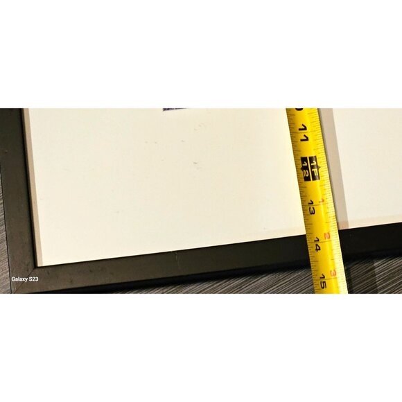 Vintage Photo Framed Nature-Inspired Abstract Black With White Matting 15x17 - Picture 2 of 9